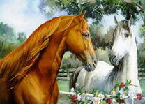 Любовь двух лошадей