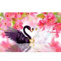 Любовь черного и белого лебедей