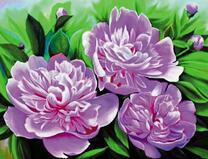 Цветущий куст пионовидных роз