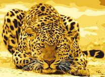 Леопард на желтом фоне 