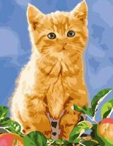 Рыжий кот 