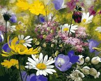 Луговые яркие цветы