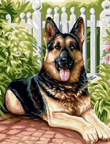 Немецкая овчарка