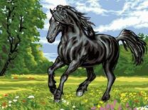 Черный конь