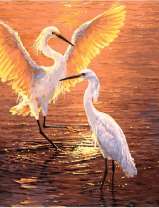 Танец аиста