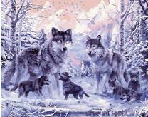 Три волка в лесу