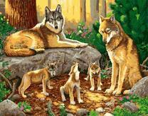 Семейство волков