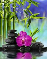 Фиолетовая орхидея над водой