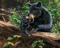 Медведица с малышом