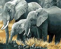 Могущество слонов