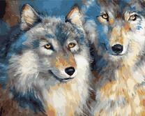 Волчий взгляд