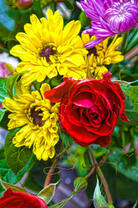 Якро-выразительные цветы