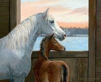 Лошадь и жеребенок