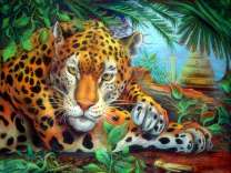 Бдительный леопард