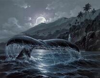 Кит у острова