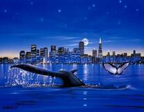 Киты в заливе