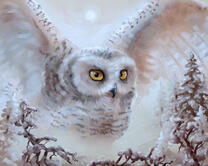 Алмазная вышивка Номерашка «2KMB-3848»