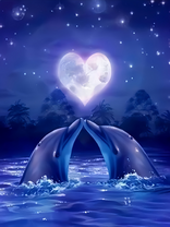 Алмазная вышивка Номерашка «2KSB-0767»