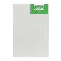 Коробка 80 шт.: Холст Две картинки на подрамнике 20X30