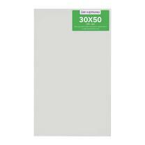 Коробка 40 шт.: Холст Две картинки на подрамнике 30X50