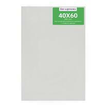 Коробка 40 шт.: Холст Две картинки на подрамнике 40X60