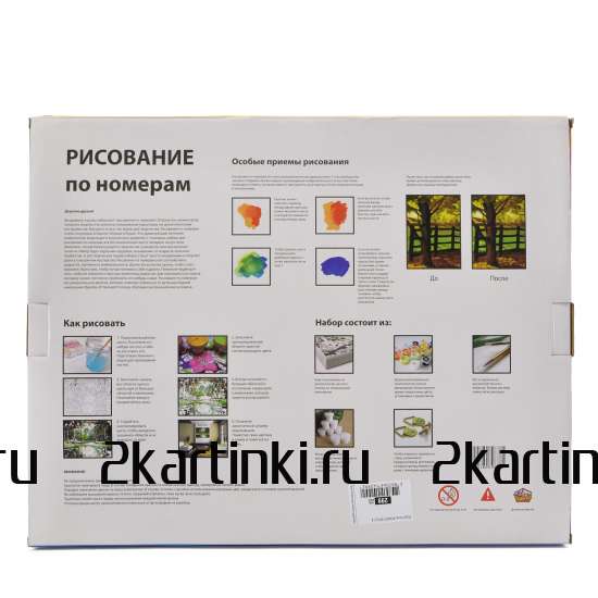 Картина 30x40 WB8023 Девушка с розовой розой на голове за 410 руб. в интернет-магазине в Москве Картина 30x40 Девушка с розовой розой на голове