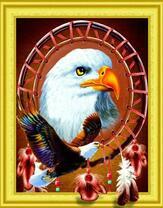 Величие белоголового орла