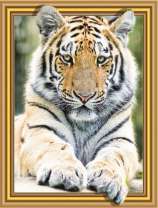 Тигр вытянул лапы