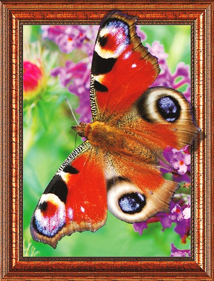 Алмазная мозаика 3D 40x50 Бабочка павлиний глаз на фоне цветов
