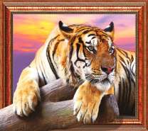 Грусть тигра