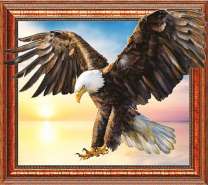 Орел над морем