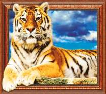 Тигр на фоне голубого неба