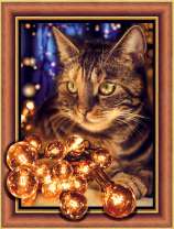 Кот и гирлянда