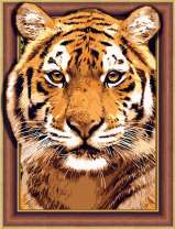 Задумчивый взгляд тигра