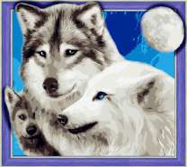 Семья волков под полной луной