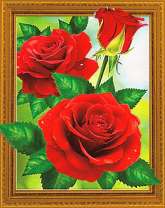 Красные розы в рамке