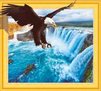 Орел над Ниагарским водопадом