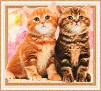 Котята на фоне розовых роз