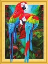 Попугаи Ара чистят пёрышки