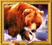 Бурый медведь поймал рыбу