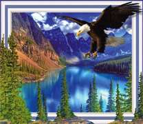 Орлан над горным озером