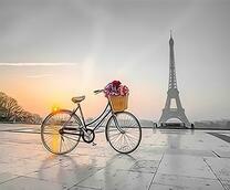 Велосипед с цветами на фоне Эйфелевой башни