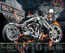 Харлей-Девидсон - рожден для езды