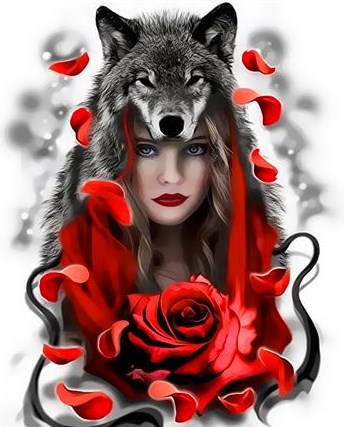 Картина по номерам 30x40 Девушка в волчьей шкуре с яркой красной розой