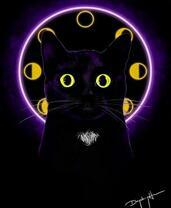 Черный кот с желтыми глазами