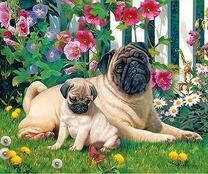 Мопсы мама и щенок на лужайке