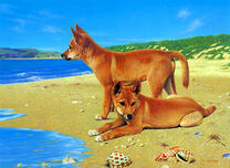 Две собаки на берегу