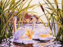 Лебеди на озере среди камышей