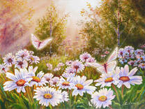 Солнечное утро - бабочки на ромашковом лугу