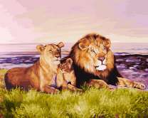 Царственная семья львов на бескрайних просторах саванны